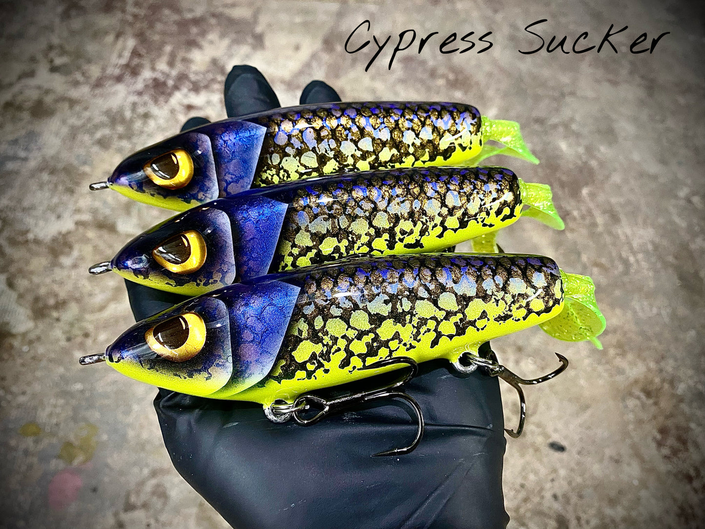 5.5" Warrior Glide